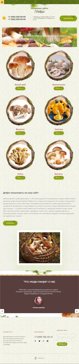 Мобильная версия дизайна № 62357