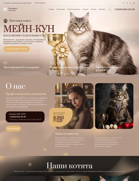 Дизайн № 104314