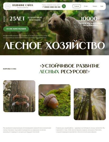 Готовый Сайт-Бизнес № 8820821 - Лесное хозйство (Превью)