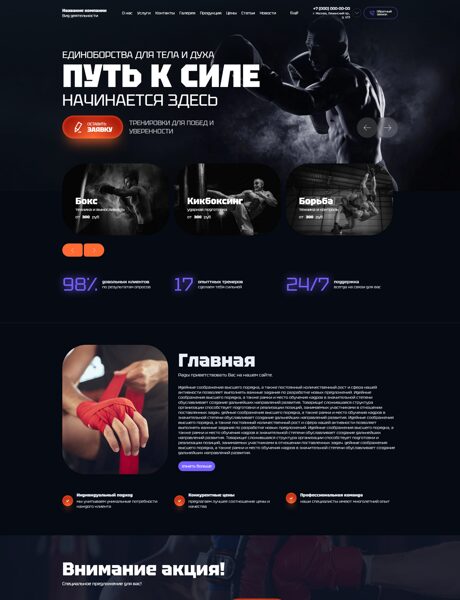 Готовый Сайт-Бизнес № 8827596 - Спортивные клубы и секции, школа единоборств (Превью)