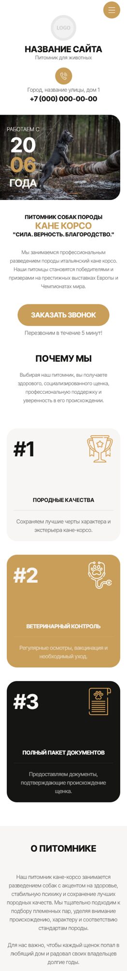 Мобильная версия дизайна № 106130