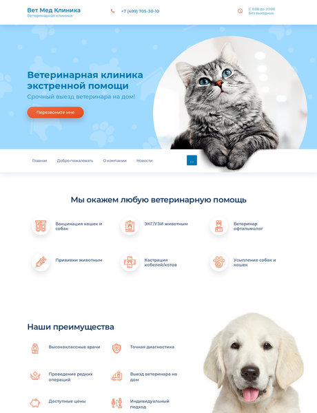 Готовый Сайт-Бизнес № 2282769 - Ветеринарная клиника (Превью)