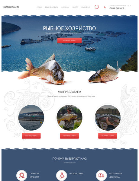 Готовый Сайт-Бизнес № 2526374 - Рыбное хозяйство (Превью)