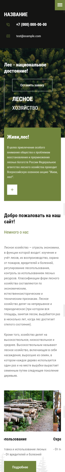 Мобильная версия дизайна № 80020