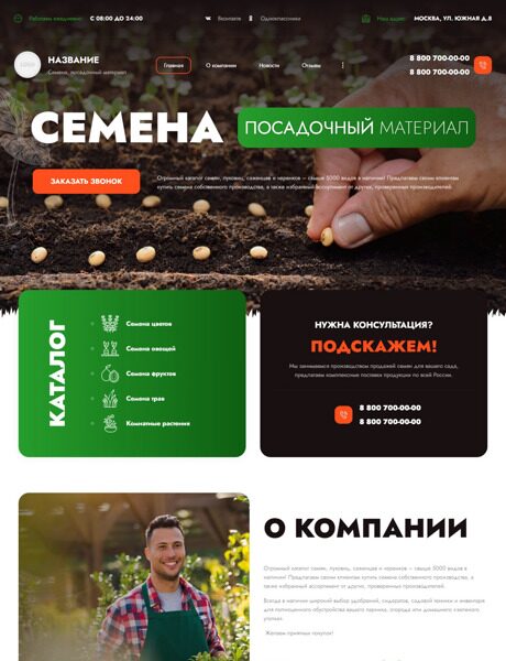 Готовый Сайт-Бизнес № 4179585 - Семена и посадочный материал (Превью)