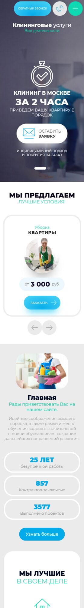 Мобильная версия дизайна № 89644
