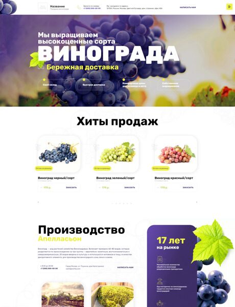 Готовый Сайт-Бизнес № 4596202 - Виноград (Превью)