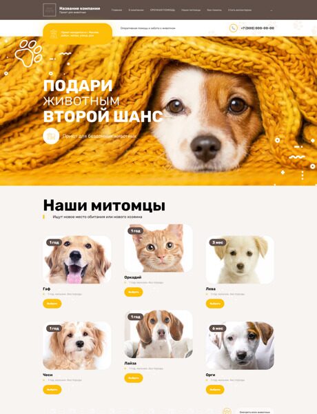 Готовый Сайт-Бизнес № 4696594 - Приют для животных (Превью)