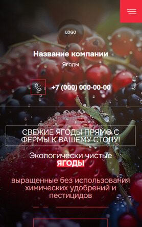 Мобильная версия дизайна № 96961